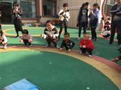 人气：501  上传时间：2018/12/7 16:47:39