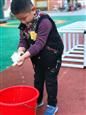 人气：255  上传时间：2018/12/7 12:15:43