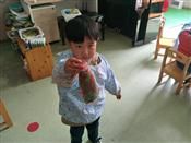 人气：501  上传时间：2018/12/13 8:08:36