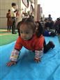 人气：498  上传时间：2018/12/14 9:28:36