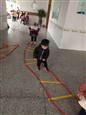 人气：539  上传时间：2018/12/21 15:24:42
