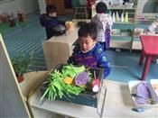 人气：500  上传时间：2018/12/21 7:49:04