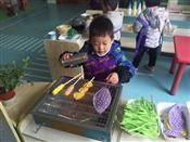 人气：492  上传时间：2018/12/21 7:49:17