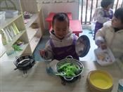 人气：532  上传时间：2018/12/21 7:49:23