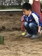 人气：255  上传时间：2018/12/21 12:09:36