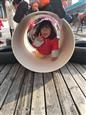 人气：474  上传时间：2018/12/24 11:46:34
