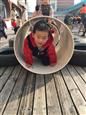 人气：474  上传时间：2018/12/24 11:46:36