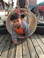人气：503  上传时间：2018/12/24 11:46:38
