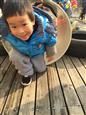 人气：494  上传时间：2018/12/24 11:46:50