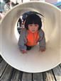 人气：495  上传时间：2018/12/24 11:46:53