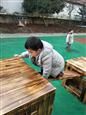 人气：541  上传时间：2018/12/25 13:29:23