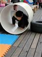 人气：544  上传时间：2018/12/27 14:59:56