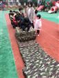 人气：618  上传时间：2018/12/27 10:35:54