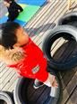 人气：543  上传时间：2018/12/29 16:30:44