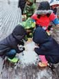 人气：564  上传时间：2019/1/2 16:49:21