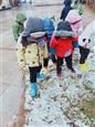 人气：600  上传时间：2019/1/2 16:49:36