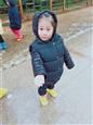 人气：543  上传时间：2019/1/2 16:49:36