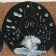 人气：314  上传时间：2019/1/4 16:17:39