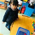 人气：558  上传时间：2019/1/9 8:41:45
