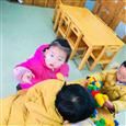 人气：555  上传时间：2019/1/9 8:41:56