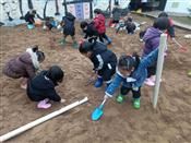 人气：524  上传时间：2019/1/9 10:35:23