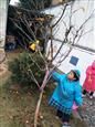 人气：485  上传时间：2019/1/11 7:52:55