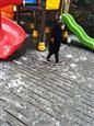 人气：524  上传时间：2019/1/11 7:56:57
