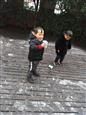 人气：513  上传时间：2019/1/11 7:57:14