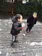 人气：507  上传时间：2019/1/11 7:57:19