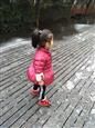 人气：543  上传时间：2019/1/11 7:57:21