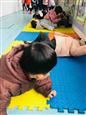 人气：554  上传时间：2019/1/17 14:15:16