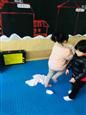 人气：521  上传时间：2019/1/17 17:32:01