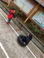 人气：523  上传时间：2019/1/18 17:43:47
