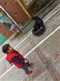 人气：522  上传时间：2019/1/18 17:43:53