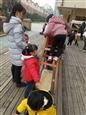 人气：501  上传时间：2019/1/18 17:46:40