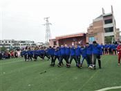 人气：480  上传时间：2019/1/21 15:09:34