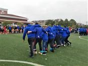 人气：509  上传时间：2019/1/21 15:09:38