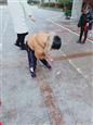 人气：531  上传时间：2019/2/25 16:28:12