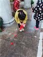 人气：556  上传时间：2019/2/25 16:28:14