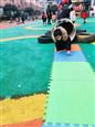 人气：564  上传时间：2019/2/27 16:57:55