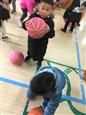 人气：532  上传时间：2019/2/27 17:05:23
