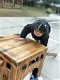 人气：473  上传时间：2019/2/27 17:19:15
