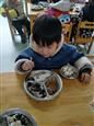 人气：510  上传时间：2019/2/27 8:11:54