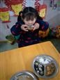 人气：537  上传时间：2019/2/27 8:12:00