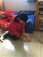 人气：255  上传时间：2019/2/28 9:13:28