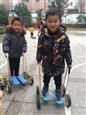 人气：511  上传时间：2019/3/1 15:35:34