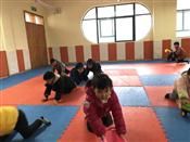 人气：520  上传时间：2019/3/1 8:05:47