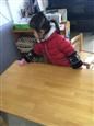 人气：261  上传时间：2019/3/1 9:31:40