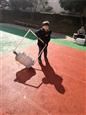 人气：552  上传时间：2019/3/6 12:53:04
