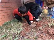 人气：311  上传时间：2019/3/7 13:32:13